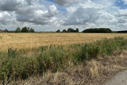 8 acres of Agricultural Land for sale in Newborough