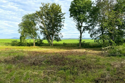 Self Build Plot for sale in Berwickshire, Roxburgh and Selkirk