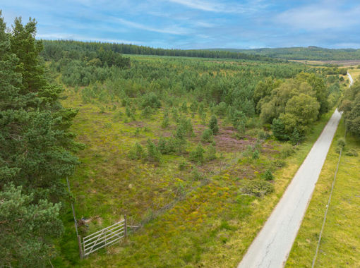 Woodland for sale in Moray West, Nairn and Strathspey