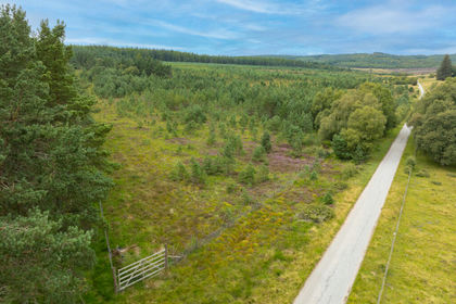 Woodland for sale in Moray West, Nairn and Strathspey