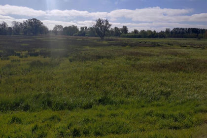 3.9 acres of Grazing Land for sale in Geldeston
