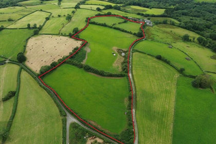 16.9 acres of Agricultural Land for sale in Talley