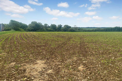 68.1 acres of Agricultural Land for sale in Bishop Norton