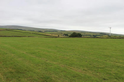 30 acres of Farmland for sale in Nelson