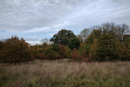 9.4 acres of Recreational Land for sale in Bergh Apton