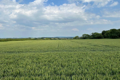 26.8 acres of Arable Land for sale in Danby Wiske with Lazenby