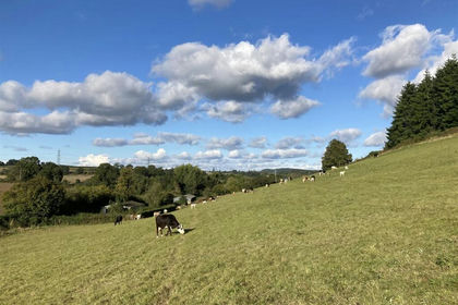 17.6 acres of Agricultural Land for sale in Whitchurch