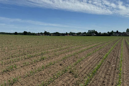 62.3 acres of Arable Land for sale in Maelor South