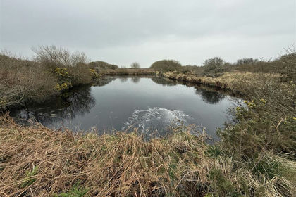 Land for sale in St. David's and the Cathedral Close