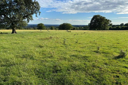 28.2 acres of Grazing Land for sale in Stanton