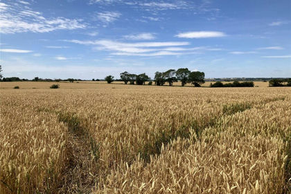 74.1 acres of Agricultural Land for sale in East Mersea