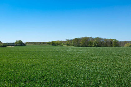 122.4 acres of Farmland for sale in Middleton