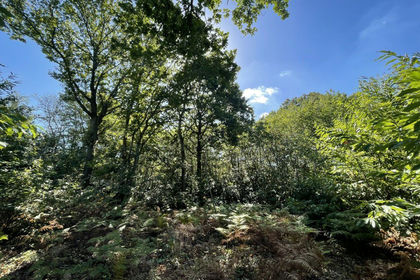 11.3 acres of Woodland for sale in Rye