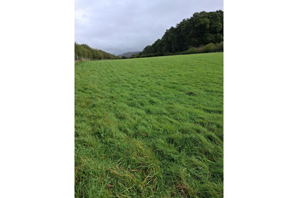1.8 acres of Cheap Land for auction in Barbon