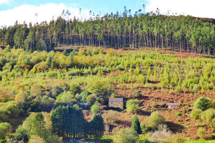 6.5 acres of Land for sale in Garw Valley