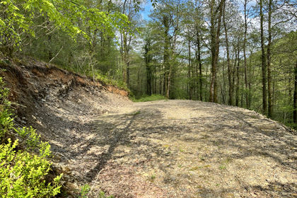 5.5 acres of Woodland for sale in