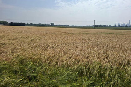 1.7 acres of Vacant Land for sale in Cliffe