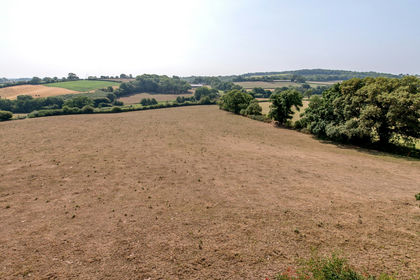 33.9 acres of Agricultural Land for sale in Taunton