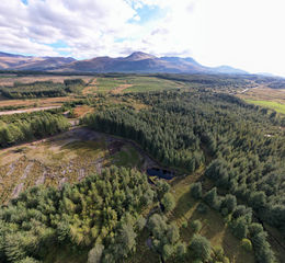 29.2 Acres of Woodland by Auction in Spean Bridge, Highland | LandSale