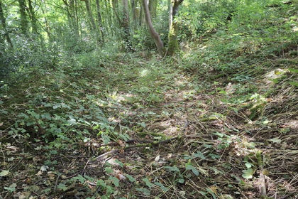 9.5 acres of Woodland for sale in Kirk Ireton