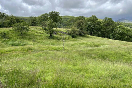 11.7 acres of Agricultural Land for sale in Torver