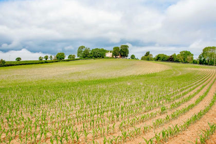 Cheap Land for sale in Woodbury