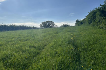 Farmland for sale in Ullingswick