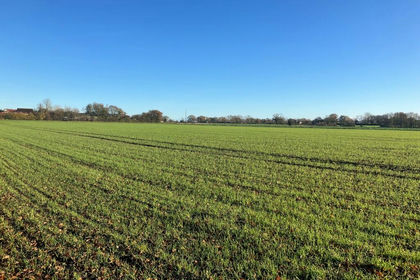 47.3 acres of Agricultural Land for sale in Tivetshall