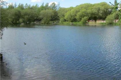 10.5 acres of Cheap Land for sale in Makerfield