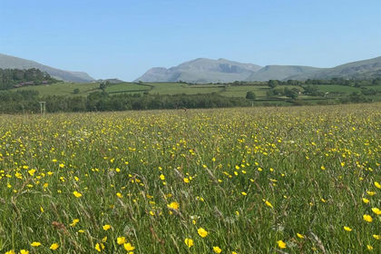 7.5 acres of Undeveloped Land for sale in Llanddeiniolen