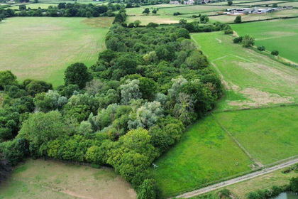 8.3 acres of Woodland for sale in East Coker