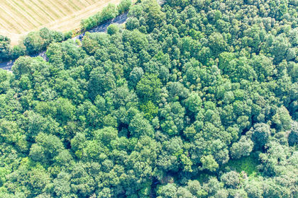 3.2 acres of Recreational Land for sale in Kirkburton