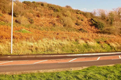 Building Plot for sale in Dumfries and Galloway