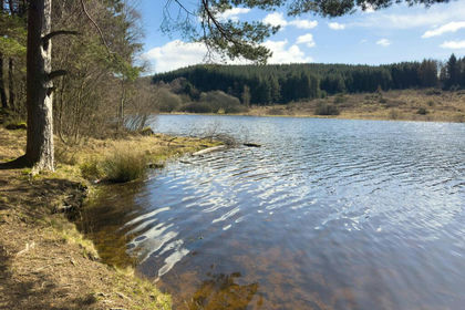 59.3 acres of Woodland for sale in Perth and Kinross-shire
