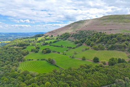 228 acres of Farmland for sale in Llanfoist Fawr