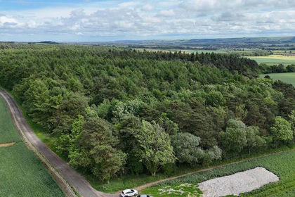 1.5 acres of Woodland for sale in Irton