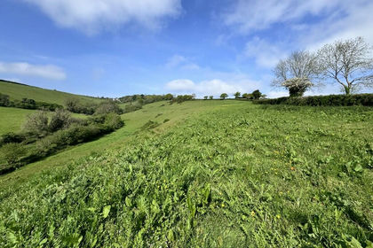 13.4 acres of Agricultural Land for sale in Bridford