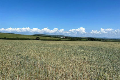 Agricultural Land for sale in Rhossili
