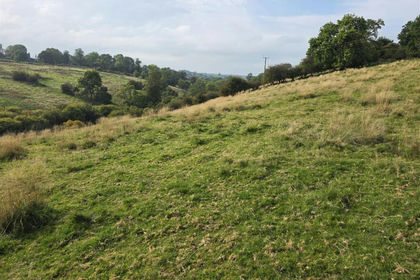 6.3 acres of Grazing Land for auction in Waterhouses