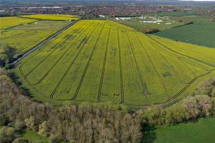 69.1 acres of Arable Land for sale in Thame