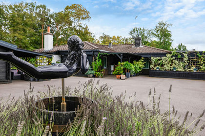 3 acres of House with Land for sale in Burstow