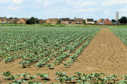 27.5 acres of Development Land for sale in Fishtoft