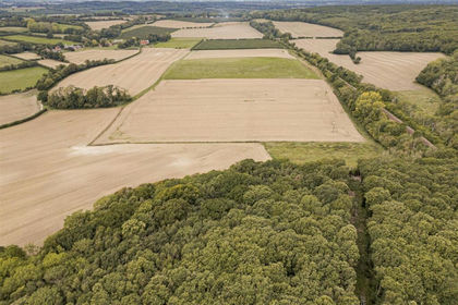 274.1 acres of Farm for sale in Chilham