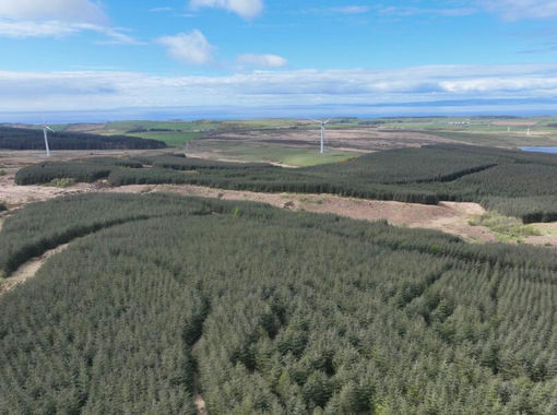 609.2 acres of Timberland for sale in Ayr, Carrick and Cumnock