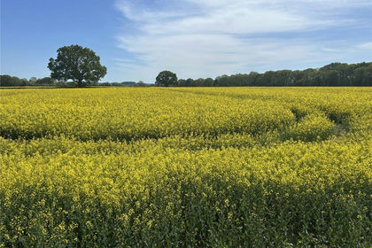 Arable Land for sale in Ashill