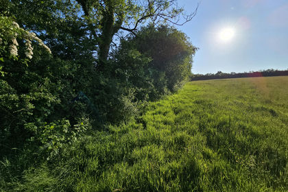 3.3 acres of Undeveloped Land for sale in