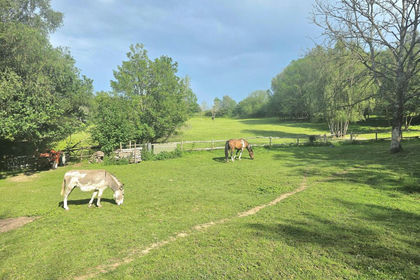 8 acres of Cottage for sale in Dormansland