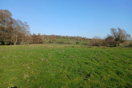 39.6 acres of Grazing Land for sale in Loddon