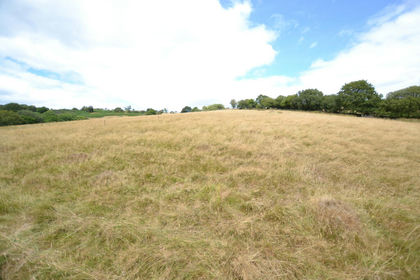 41 acres of Pasture for sale in Talley