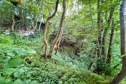 1.4 acres of Woodland for sale in West Witton